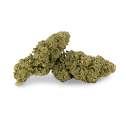 cbd-fleur-bubble-gum-cugnaux