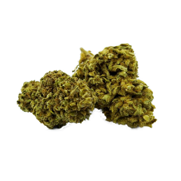 fleur-cbd-sour-diesel-toulouse