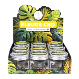 fleur-cbd-Torus-nature-et-cbd-toulouse