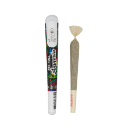 joint-pre-roll-amnesia-cbd-cugnaux