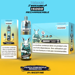 Puff-tornado-RandM-15k-Peach-Pineapple-Mango-cugnaux